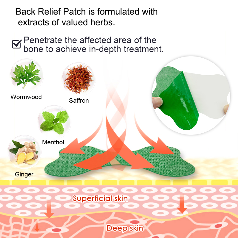 60/6 PCS Dolore Lombare Patch  - Herbal Wellness Patches recensione e prezzo